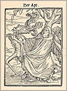 Abbot